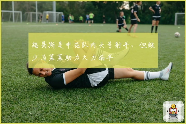 路易斯是申花队内头号射手，但缺少马莱莱助力火力减半