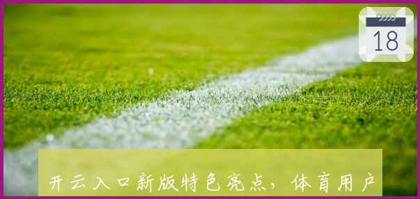 开云入口新版特色亮点，体育用户必备